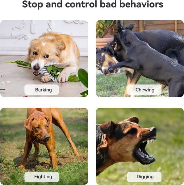 Ультразвуковое устройство для отпугивания лая собак K2 Bark Control Devices,белый т0059 фото